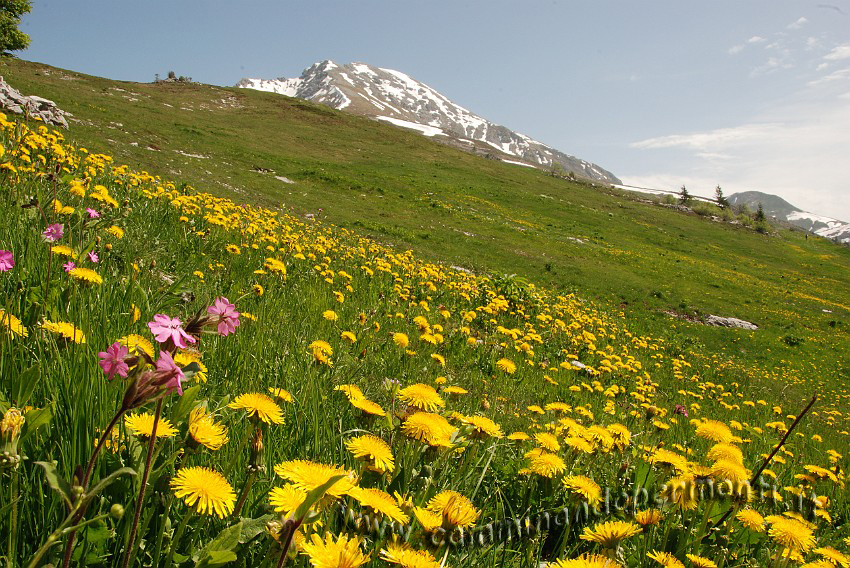 21 Sentiero Rifugio Capanna 2000.JPG